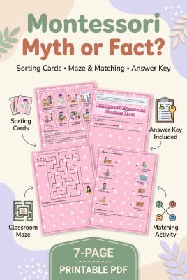 Montessori Myth or Fact? Sorting Cards and Activity