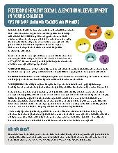 Fostering Healthy Social & Emotional Development in Young Children